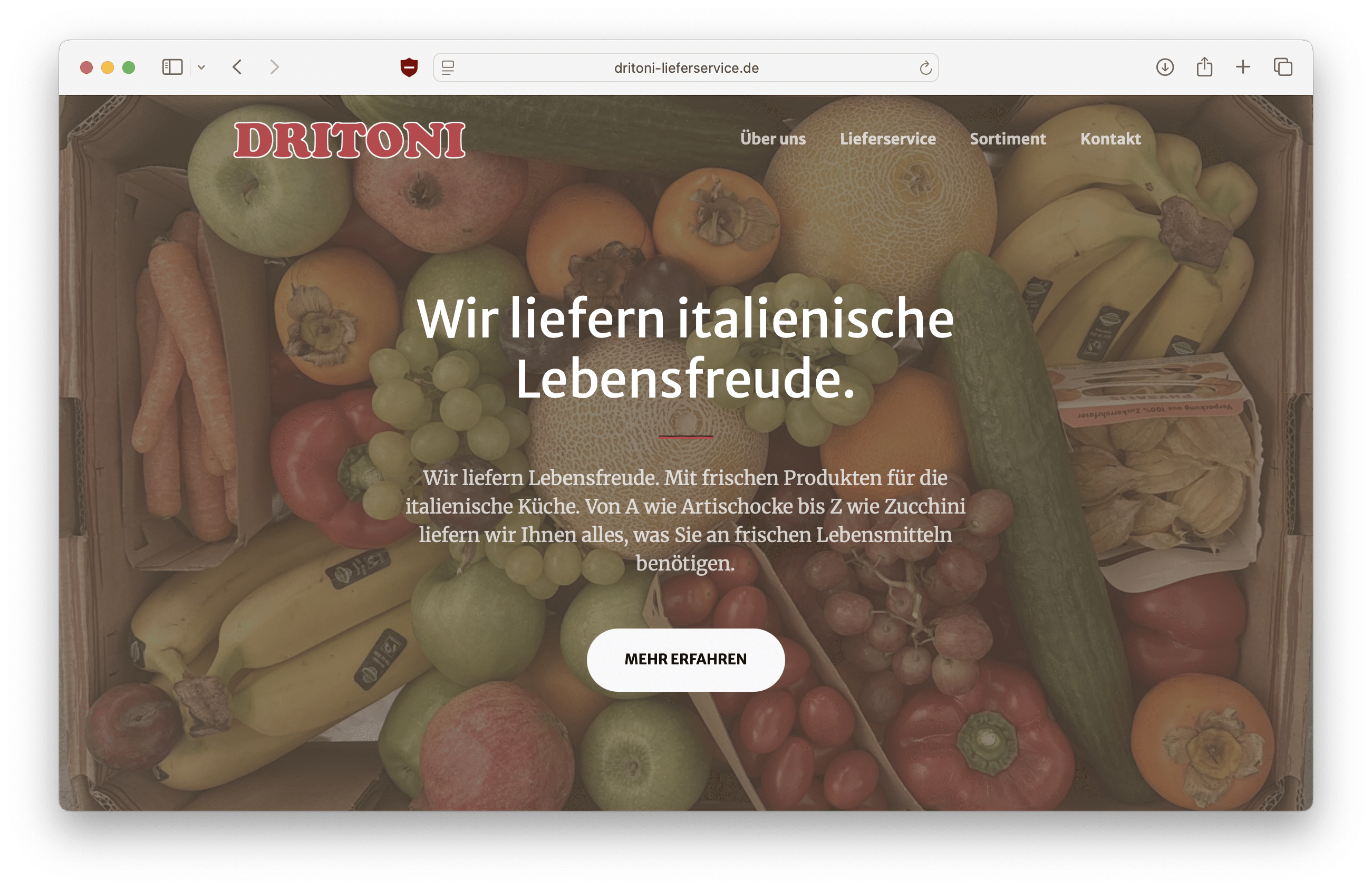 Referenz-Webseite von Driton Hasani